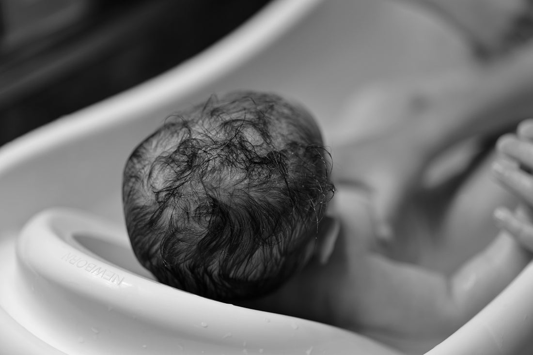 a small animal in a tub